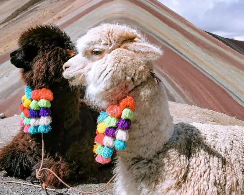 montaña-vininvunca-terresdesincas