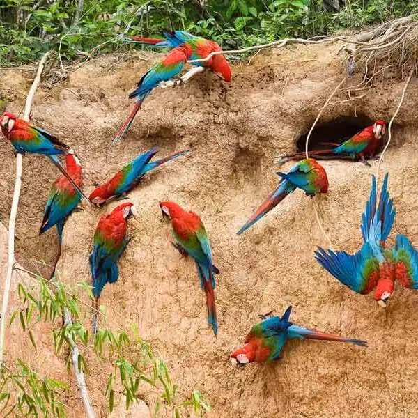 Arequipa Ciudad Blanca