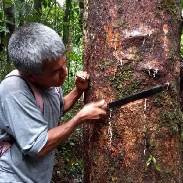 Arequipa Ciudad Blanca