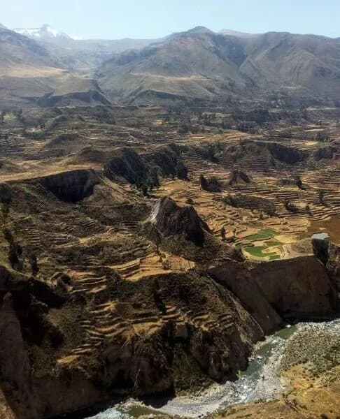 Arequipa Cañon del Colca
