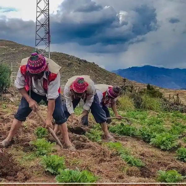 Almuerzo tipico en Patabamba