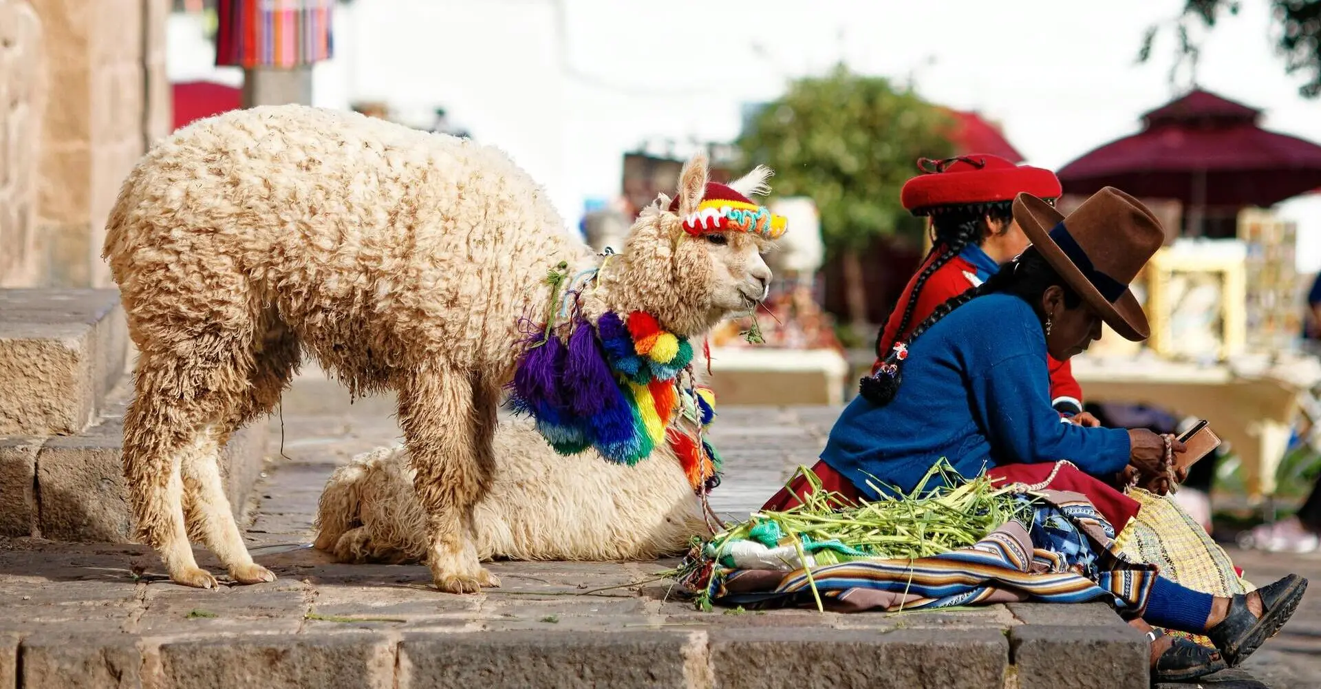 Treasures of Peru from the Pacific Ocean to the Sacred Andes Treasures of Peru from the Pacific Ocean to the Sacred Andes