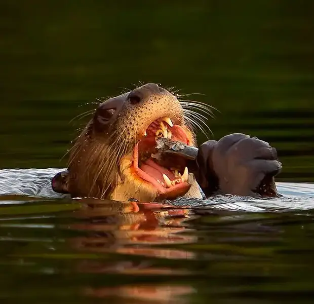 ¿Cuál es la mejor época para viajar a Perú?